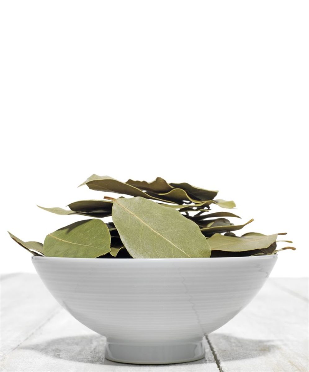 Alepposåpe 40% fast